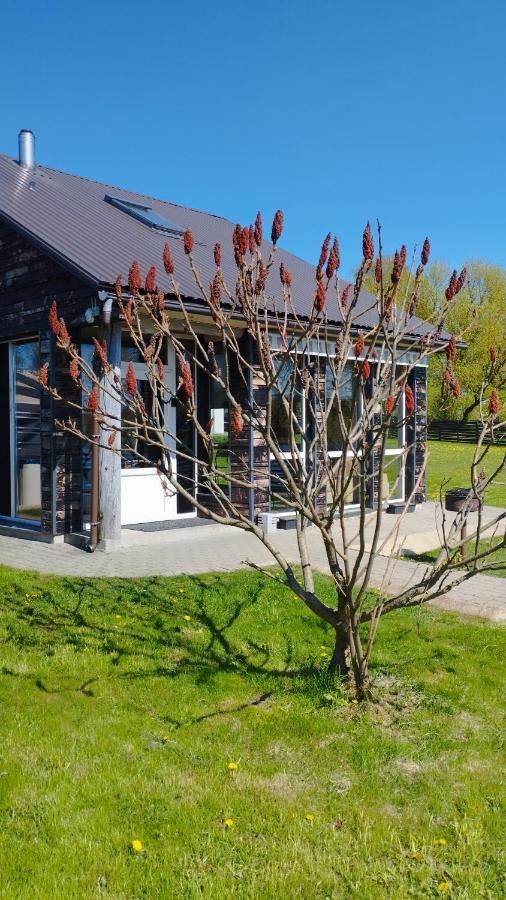 Add Story Guest House Rezekne Exterior photo